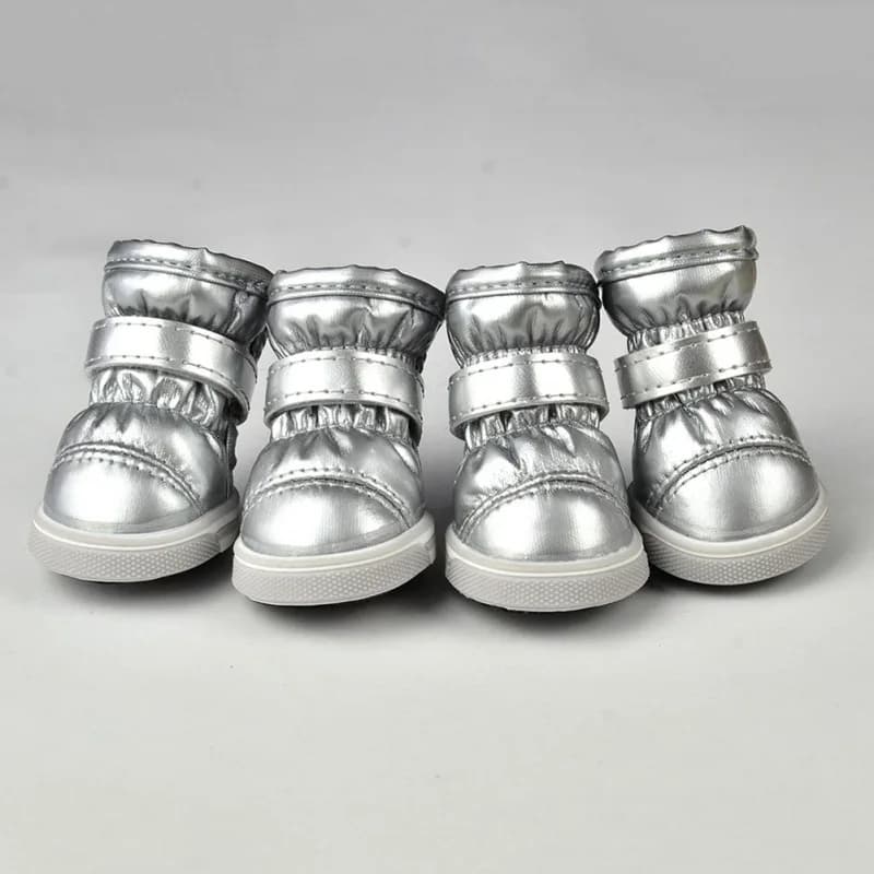bottes-argentées-chien