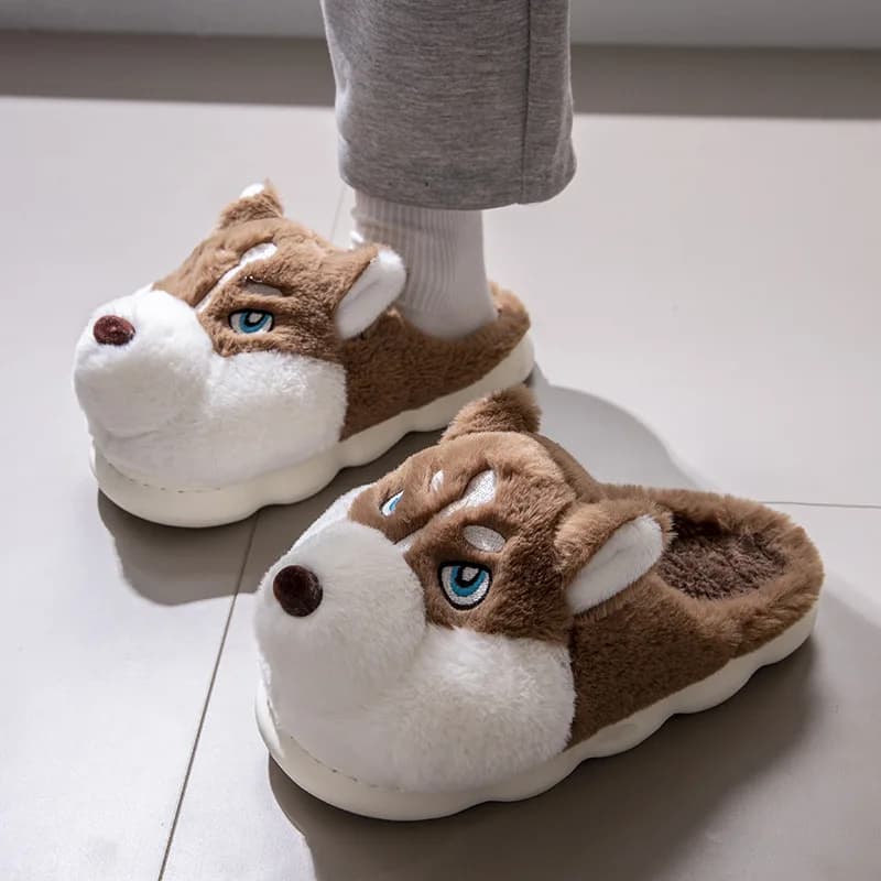 chaussures chat