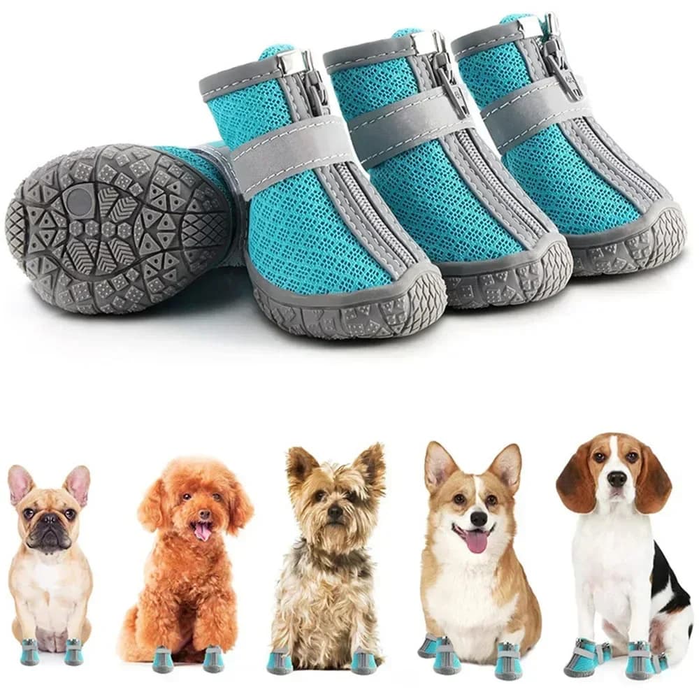 enlever odeur urine chat chaussure