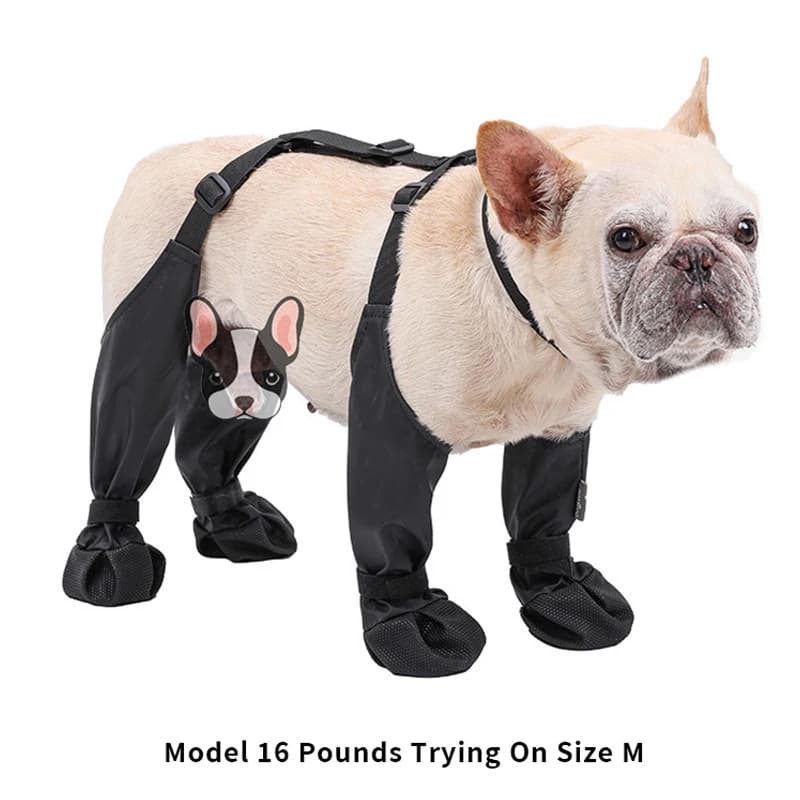bottines-chien-hiver