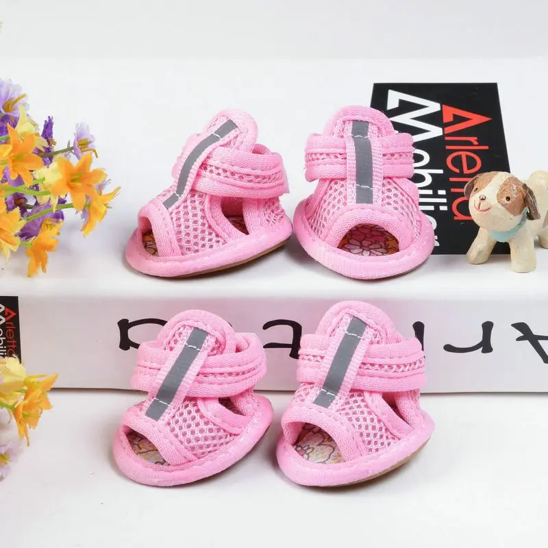 chaussure pour chat