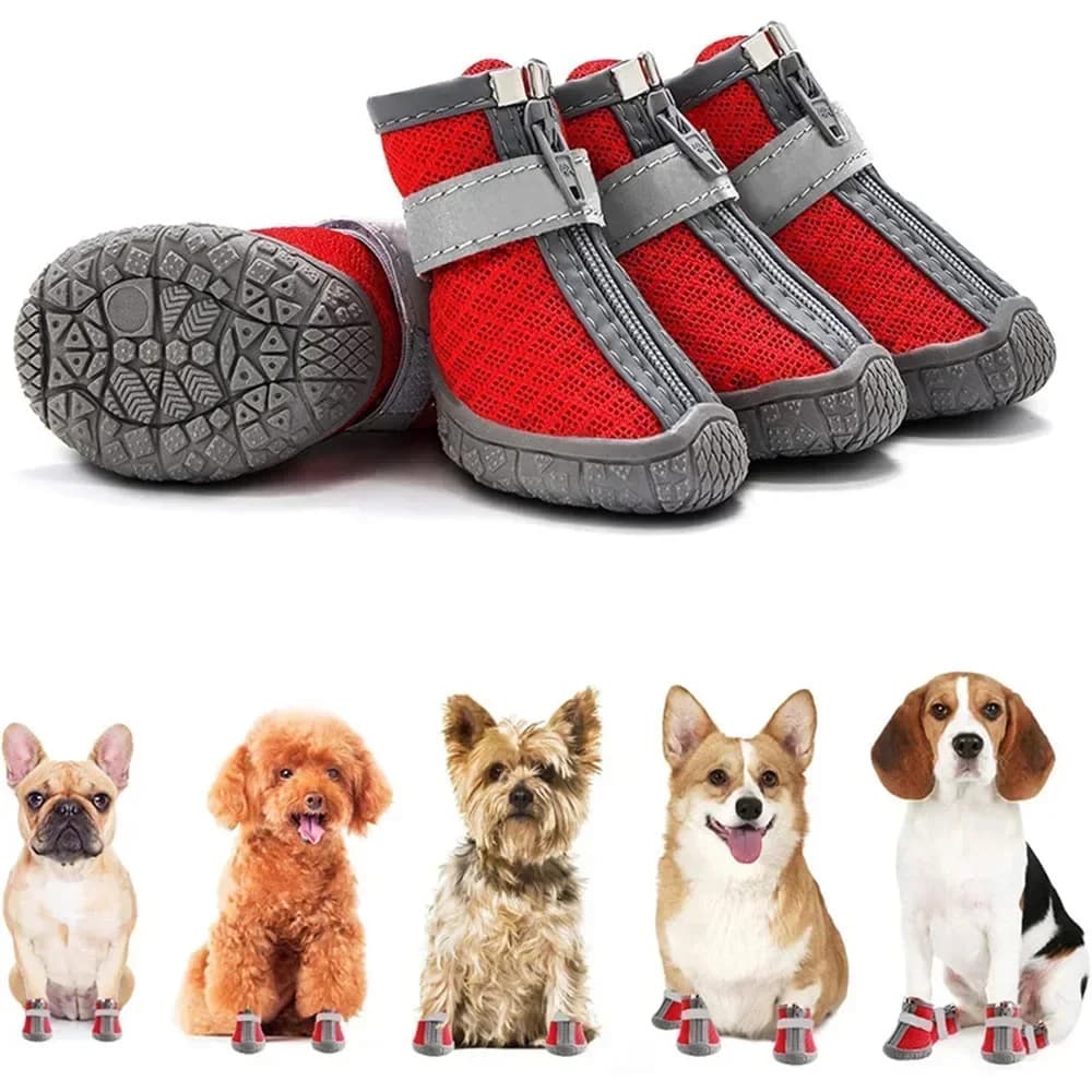 chaussures-pour-chiens-élégantes