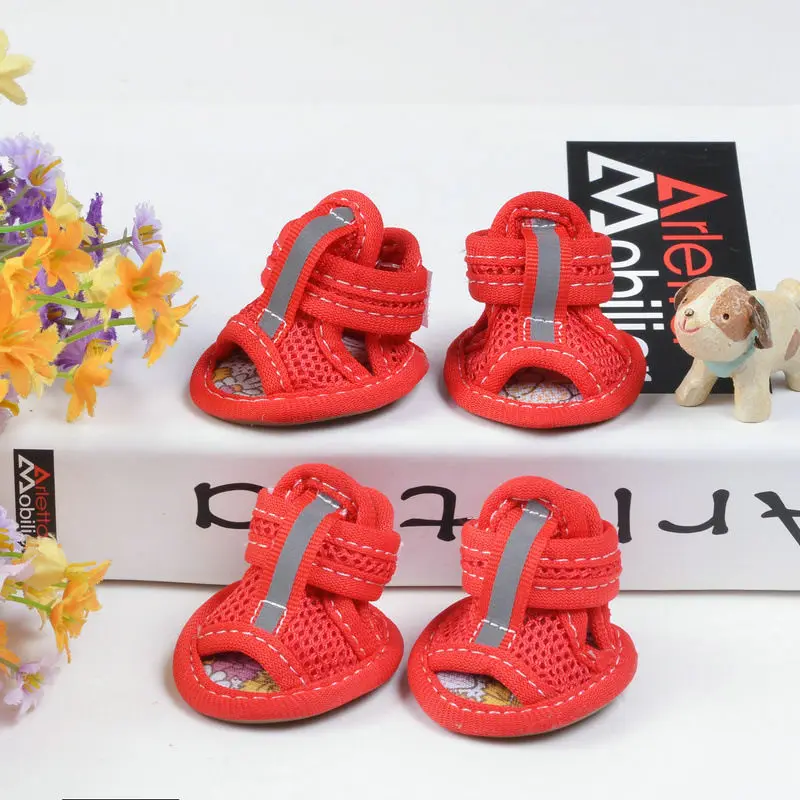 enlever odeur urine chat chaussure