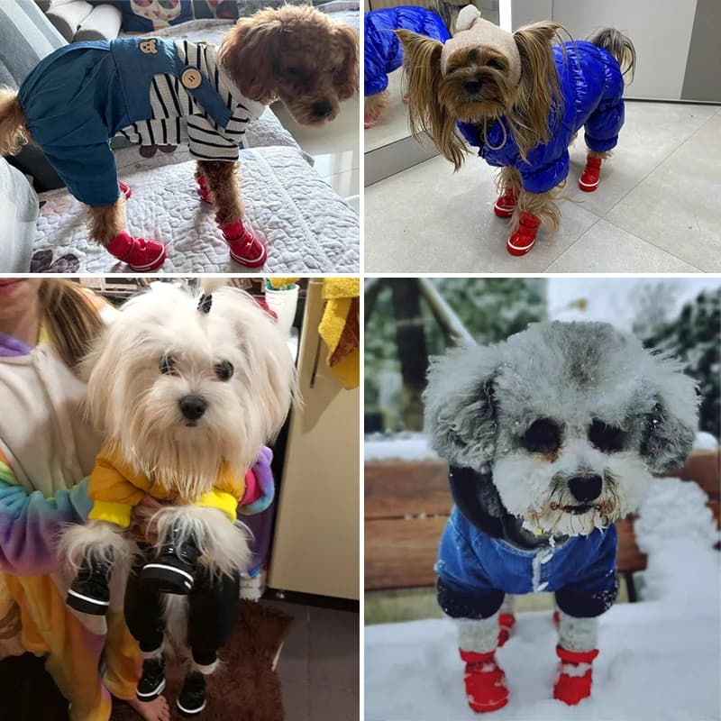 Chaussure chien – bottines d'hiver doublées