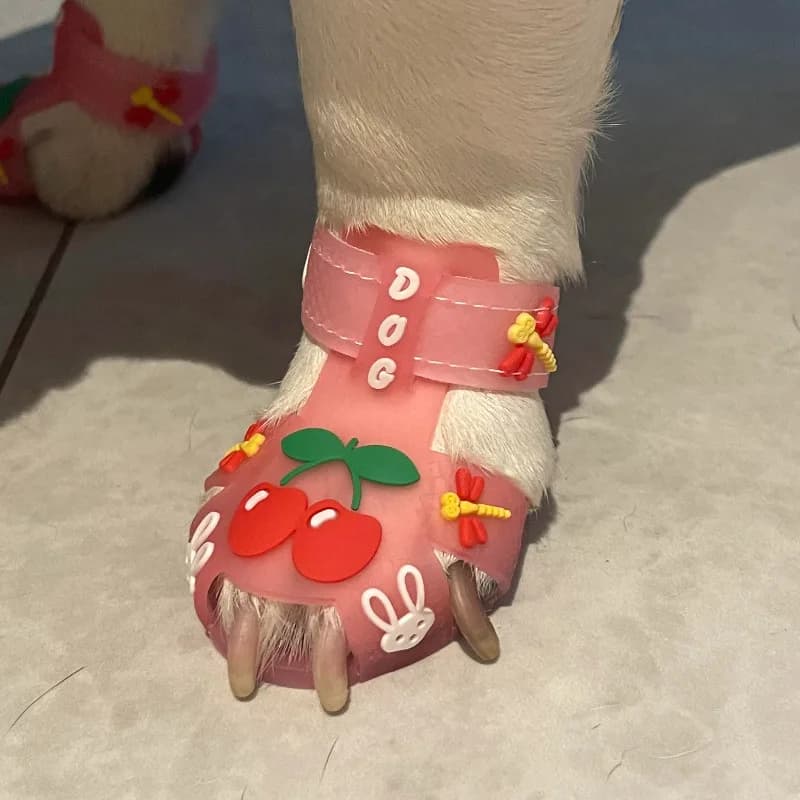 Chaussure chien – sandales d'été cerises