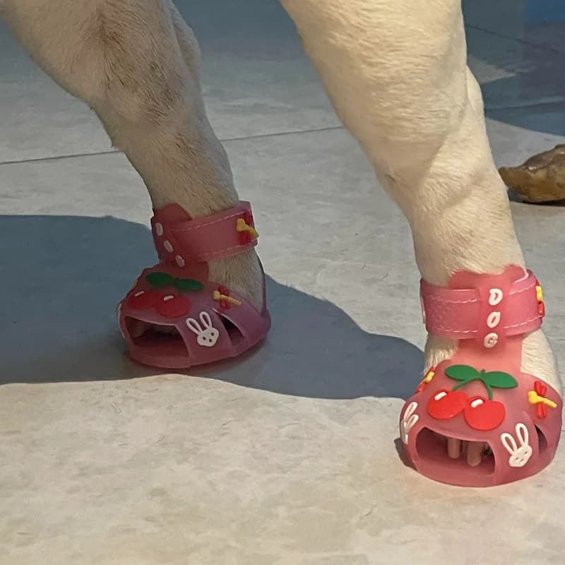 Chaussure chien – sandales d'été cerises