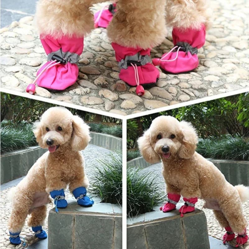 Chaussure chien – bottes de pluie colorées