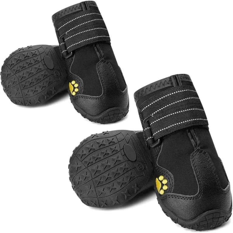 Baume pour coussinets ou chaussures : que choisir ?