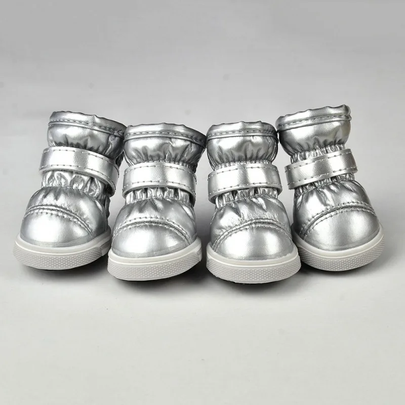 bottes-argentées-chien