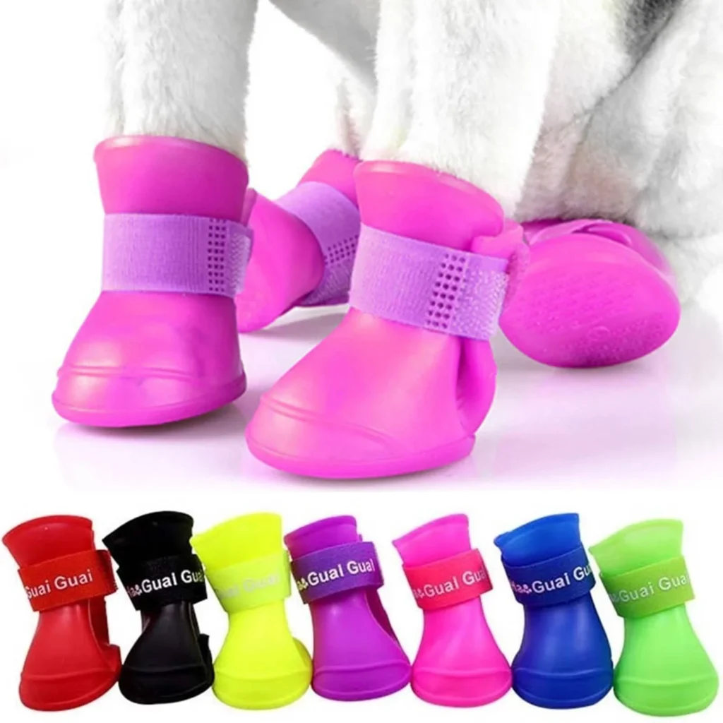 chaussures pour chat